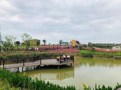 -空港花田景区