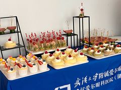 -武汉大学附属爱尔眼科医院(湖北总院)