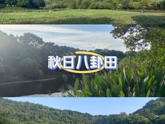 -八卦田遗址公园
