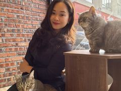 -豆逗聊愈猫阁Easy Life