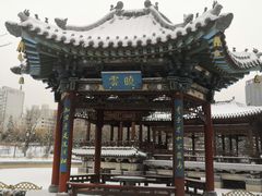 -迎泽公园