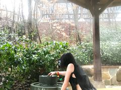 -天目湖涵田半山温泉
