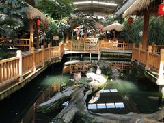 -南宫五洲植物乐园