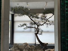 -山塘渡·苏式园林餐厅