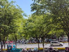 -立聪堂助听器·呼吸机(人民医院店)