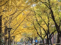 -秋栗香(地安门店)