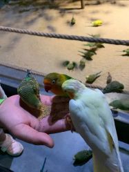 -酷嗒动物文化乐园(cutezoo西溪乐天城店)