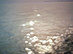 -合肥滨湖国家森林公园