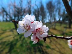 -九鼎铁刹山风景区