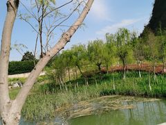 -狼山风景名胜区