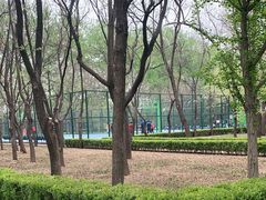 -朝阳公园游乐园