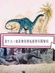 -恐龙探索乐园(磁器口店)