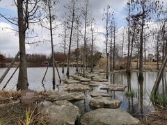 -上海长兴岛郊野公园