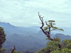 -青城山