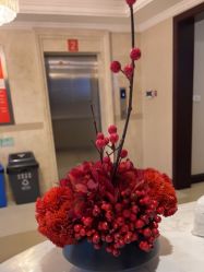 -南京医科大学友谊整形外科医院