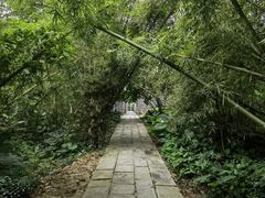 -开平碉楼文化旅游区马降龙景区