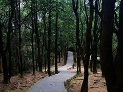 -火炉山森林公园