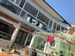 -有猫主题·治愈系猫咖(曾厝垵店)