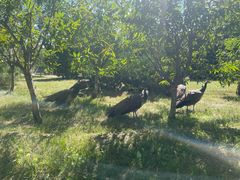 -南大港湿地风景区