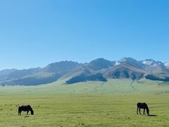 -新疆那拉提国家旅游度假区