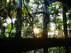 -三鹰之森吉卜力美术馆