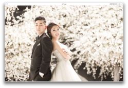 韩国艺匠ARTIZ&nbsp;STUDIO-THE QUEEN(北京店)