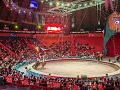 -俄罗斯国家大马戏团