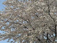 -苏州工学院(东湖校区)