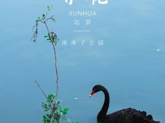 -南海子公园