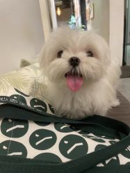 -Y+U遇瑜伽·普拉提