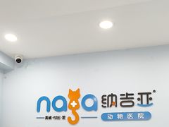 -纳吉亚猫专科动物诊疗中心(蒋宅口分院)