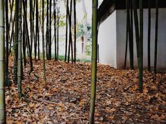 -秋霞圃