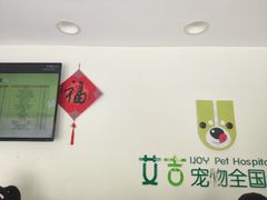 -艾吉宠物医院·疑难杂症转诊中心·猫友好(碧江路院)