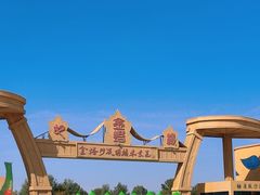 -金塔沙漠胡杨林景区