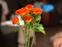 -Grand James·地中海bistro(百家湖1912店)