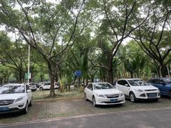 -云溪植物园