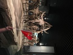 -大庆市博物馆