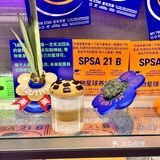 可以把曲奇沾着奶泡喝搅拌一下味道更嗲！