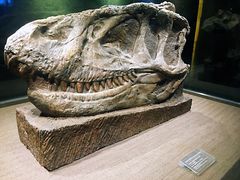 -自贡恐龙博物馆