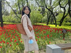 -迎泽公园