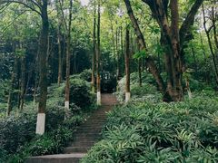 -重庆彩云湖湿地公园