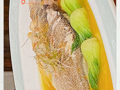 -拾宴(汇智国际商业中心店)