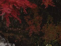 -水绘园