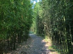 -福建鲤鱼洲酒店