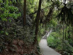-窦圌山风景区