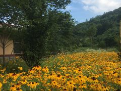 -丹东天桥沟景区