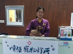 -顺强宠物诊所·狂犬免疫·夜诊·骨科(嘉定店)
