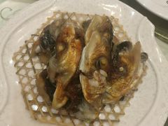 香煎鱼嘴-金城大酒店-中餐厅(汾江中路店)