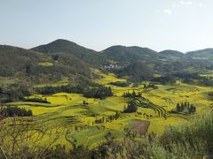 -牛街螺丝田