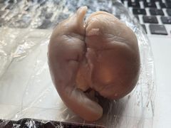 乳酪盒子-纯坊佳哥手作(江汉路店)